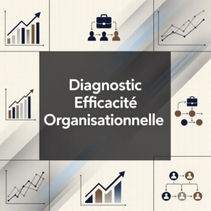 Diagnostic Efficacité Organisationnelle