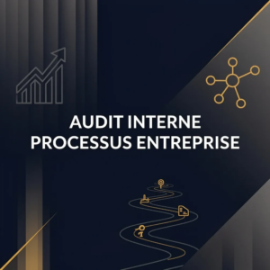 Audit Interne Processus Entreprise